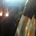 foto de virgen de los pegotes